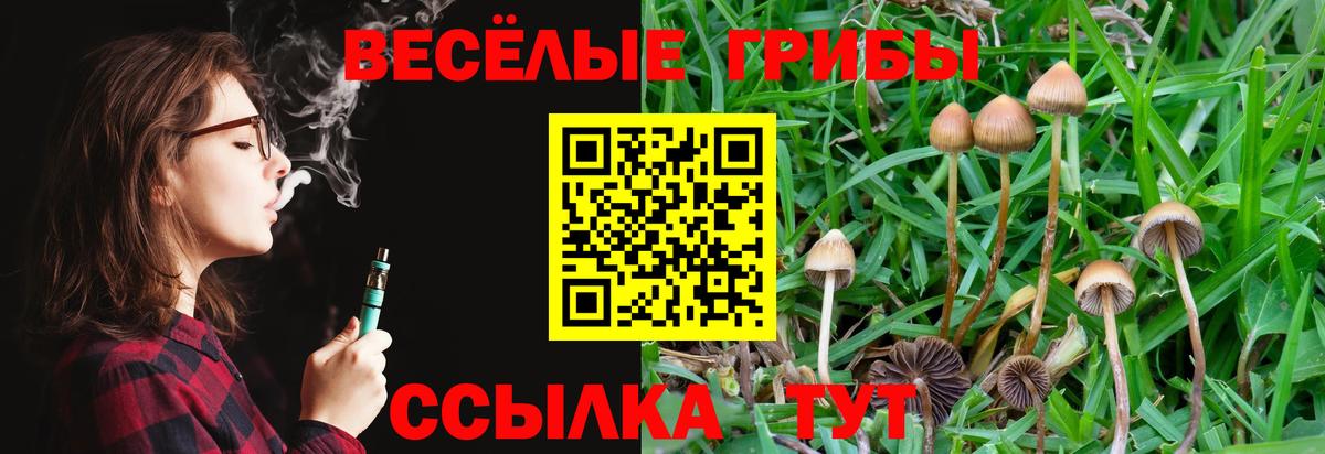 Псилоцибиновые грибы ЛСД  Галлюциногенные грибы ЛСД  Дедовск  Вход с VPN 